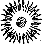 022/022890030301150_0.png