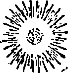 023/023370010101500_0.png