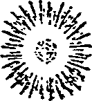 023/023370010200090_0.png