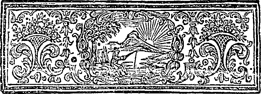 023/023520040002290_1.png