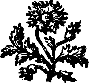 023/023670030000980_0.png