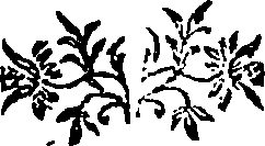 023/023730030101620_0.png