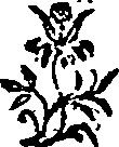 023/023730030201360_0.png