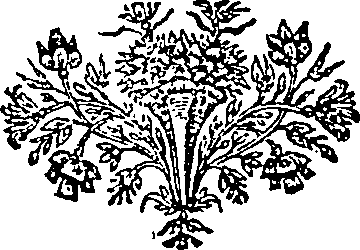 023/023740150002000_0.png