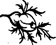 023/023760080000390_0.png