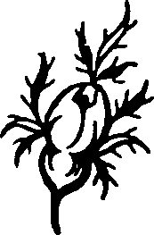 023/023760080001390_0.png