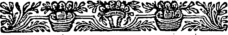 023/023940030200740_1.png
