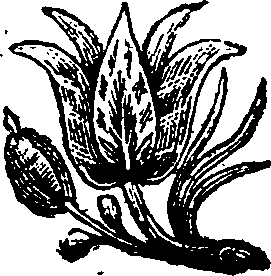 024/024070010204380_0.png