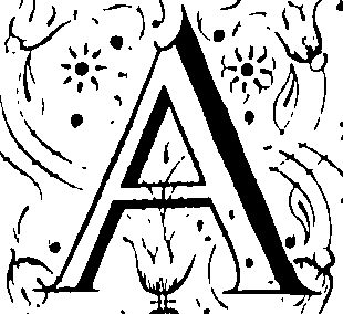 024/024120100000230_6.png