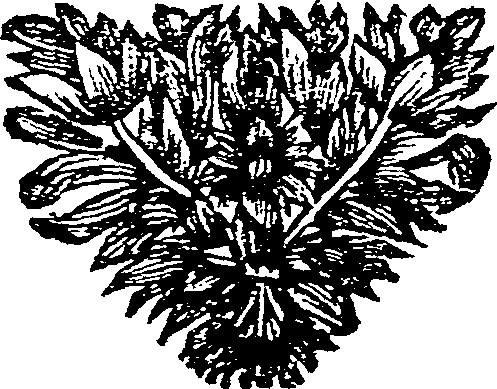 024/024130020000140_0.png
