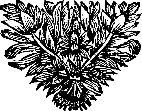 024/024130020000670_0.png