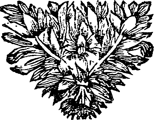 024/024130020001600_0.png