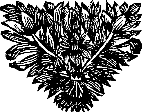 024/024130020002090_0.png