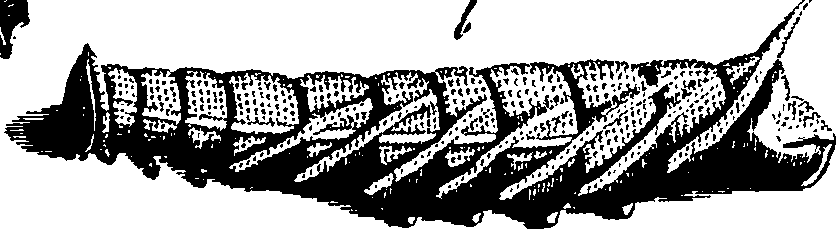 024/024140090000820_2.png