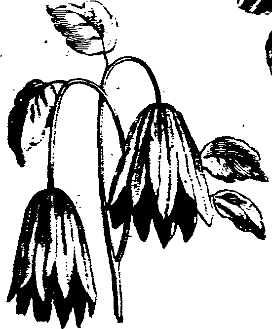 024/024140090000830_0.png