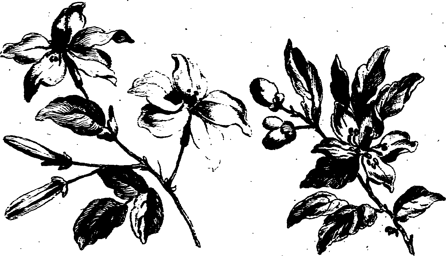 024/024140090000840_0.png