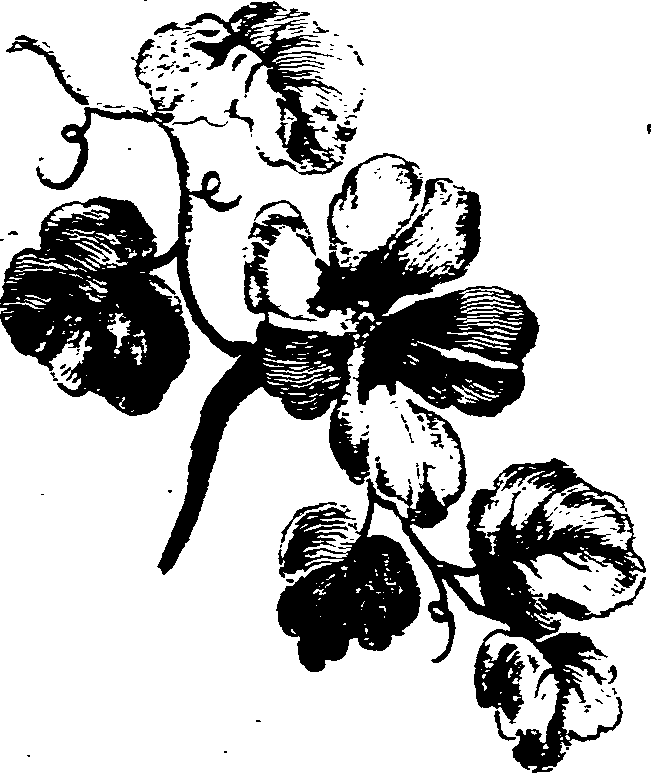 024/024140090000840_2.png