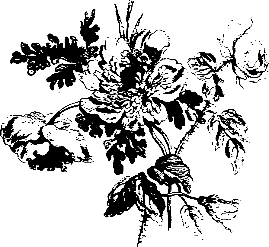 024/024140090000850_0.png
