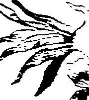 024/024140090000850_2.png