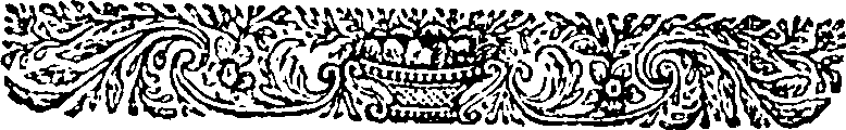 024/024310010102920_1.png