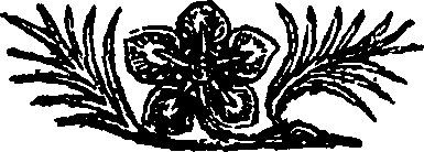 024/024330080000540_0.png