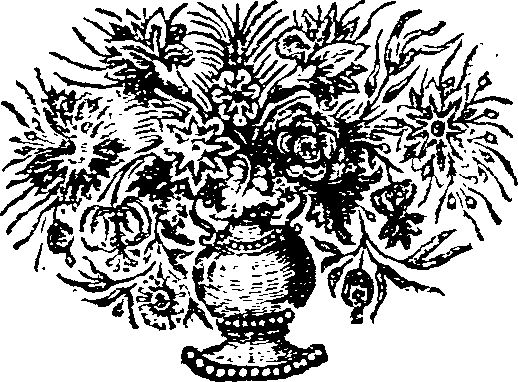 024/024380020208080_0.png