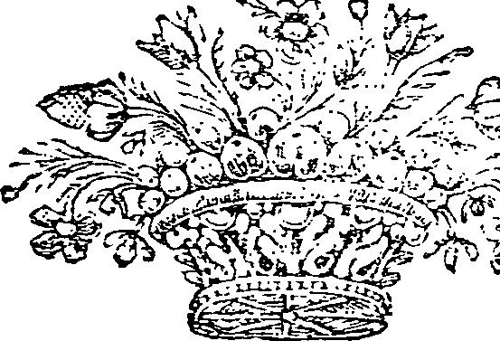 024/024520040000990_0.png