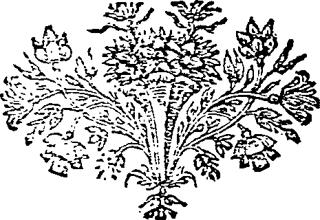024/024720020101900_0.png