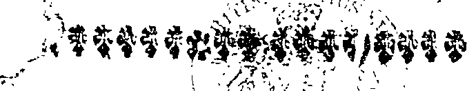 024/024810060000460_0.png