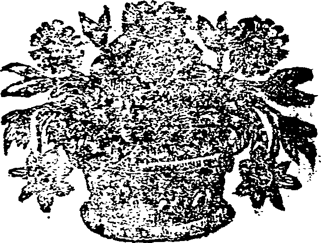 024/024860070000290_0.png
