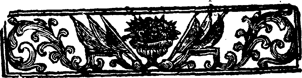 024/024910050000020_1.png