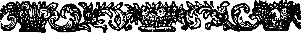 024/024910050000540_1.png