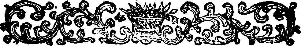 024/024910050001040_1.png