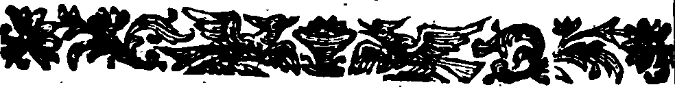 024/024910050001170_2.png