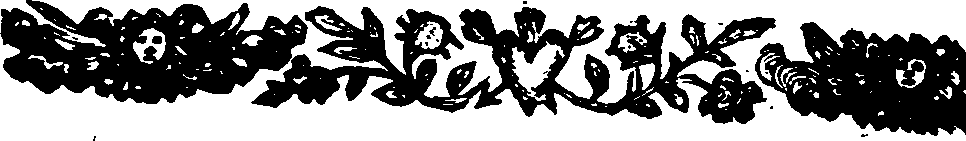 024/024910050001190_1.png