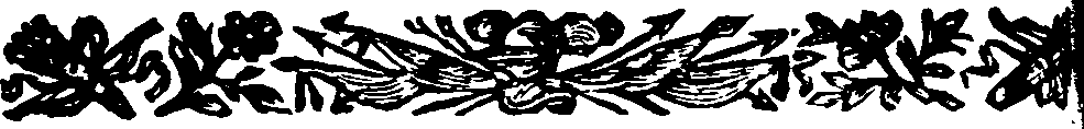 024/024910050001590_1.png