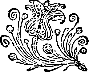 024/024960050001050_0.png