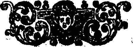 024/024980140000010_0.png