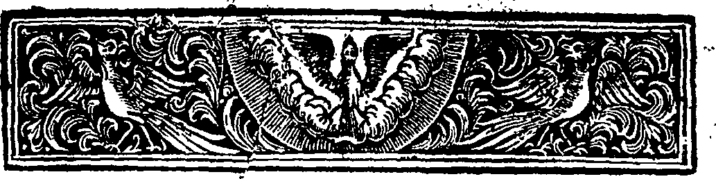 025/025010270000020_1.png