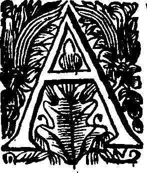025/025030080000020_0.png