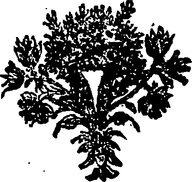 025/025050180000010_0.png
