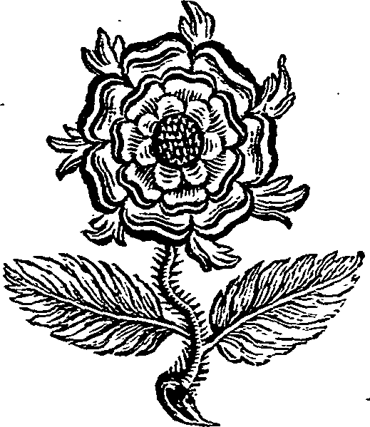 025/025090080000850_0.png