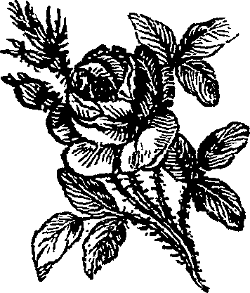 025/025100170001530_0.png