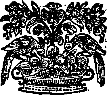 025/025110170000210_0.png