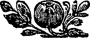 025/025120050202870_0.png