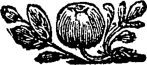 025/025120050202990_0.png