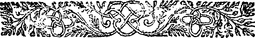 025/025170100000200_1.png