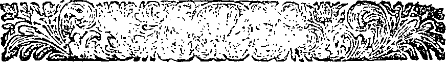 025/025170100000990_1.png