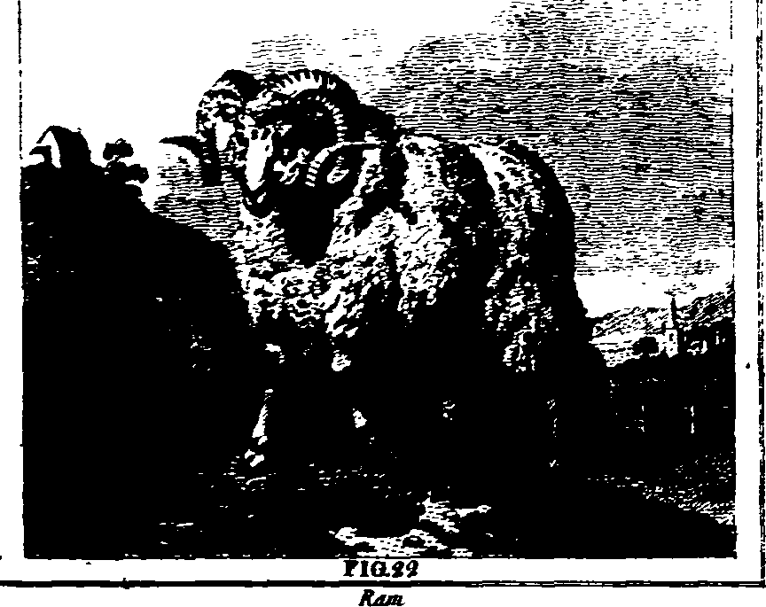025/025430010502480_1.png