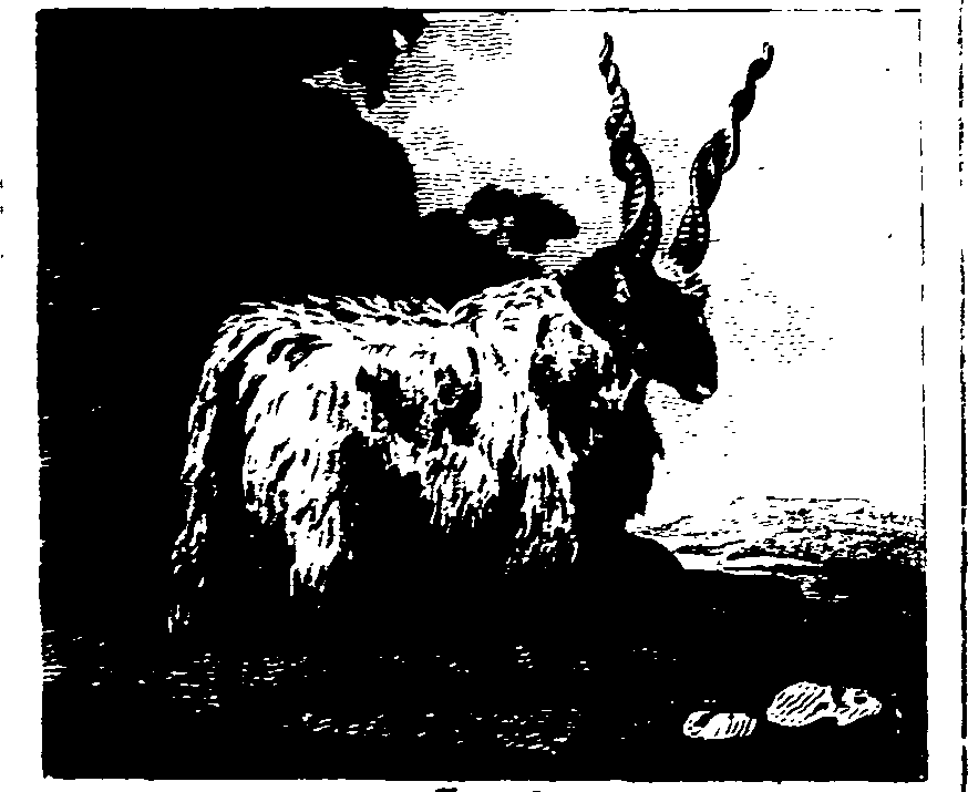 025/025430010502690_0.png